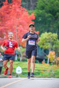 BIB: 8285
                            <button type="button" onclick="openModal(19239091)" class="btn btn-primary btn-sm float-right btn-popup" data-toggle="modal" data-target=".modal-high-quality">
                        <i class="fas fa-shopping-cart"></i> Add to Cart
                    </button>
                                            <button type="button" onclick="isThisMe(19239091, true)" class="btn btn-success btn-sm float-right btn-popup btn-isme hidden" data-toggle="tooltip" data-placement="bottom" title="นี่คือรูปของคุณใช่ไหม คลิกที่นี่เพื่อเอาเข้าอัลบั้ม">
                        <i class="fas fa-plus"></i> Add to album
                    </button>
                    <button type="button" onclick="isThisMe(19239091, false)" class="btn btn-warning btn-sm float-right btn-popup btn-isnotme hidden">
                        <i class="fas fa-ban"></i> Remove from album
                    </button>